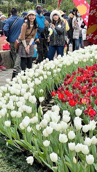 IMG_2303.JPG IMG_2303.JPG