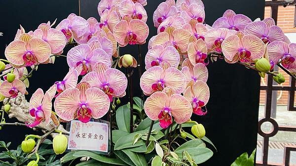 IMG_5840.jpg IMG_5840.jpg