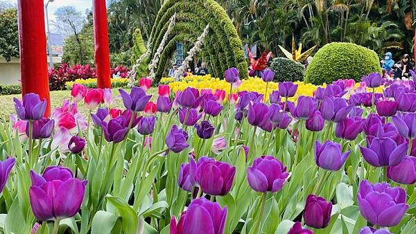 IMG_5727.jpg IMG_5727.jpg