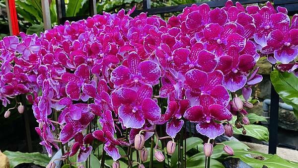 IMG_5836.jpg IMG_5836.jpg