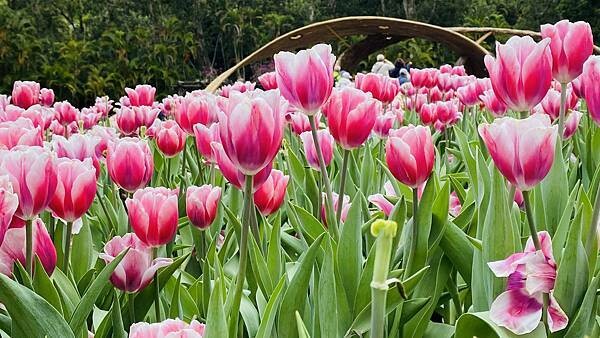 IMG_5749.jpg IMG_5749.jpg