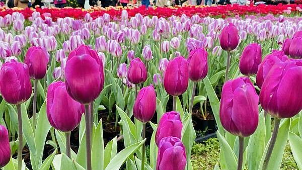 IMG_5791.jpg IMG_5791.jpg