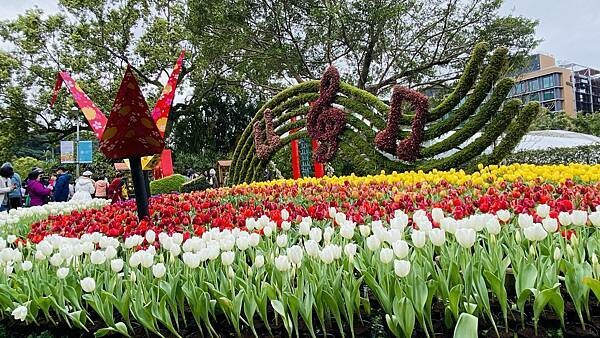 IMG_5715.jpg IMG_5715.jpg