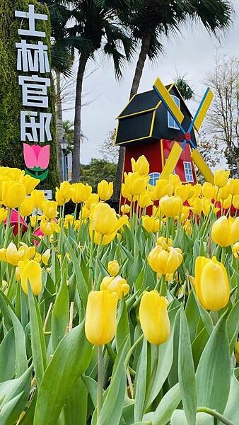 IMG_5691.jpg IMG_5691.jpg