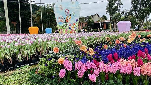 IMG_5816.jpg IMG_5816.jpg