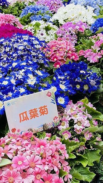 IMG_5734.jpg IMG_5734.jpg