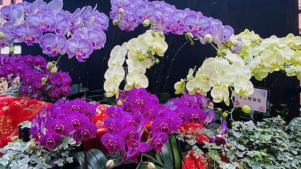 IMG_5839.jpg IMG_5839.jpg