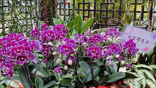 IMG_5837.jpg IMG_5837.jpg