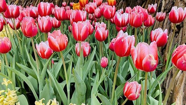 IMG_5744.jpg IMG_5744.jpg