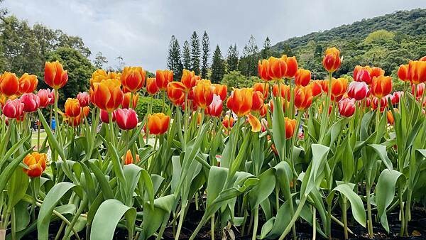 IMG_5769.jpg IMG_5769.jpg