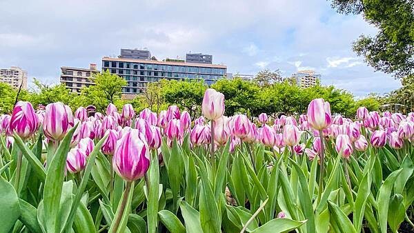 IMG_5766.jpg IMG_5766.jpg