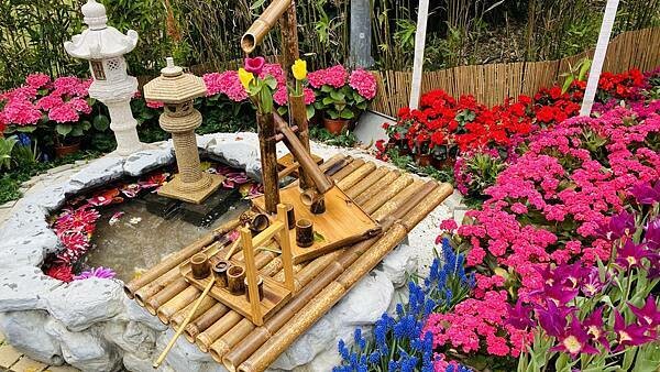 IMG_5718.jpg IMG_5718.jpg