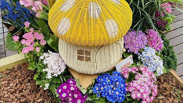 IMG_5799.jpg IMG_5799.jpg