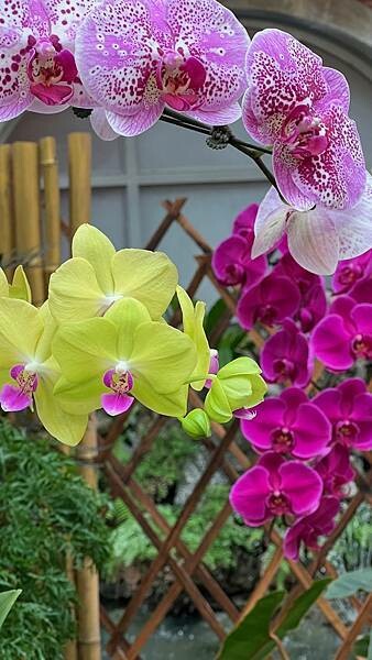 IMG_2495.JPG IMG_2495.JPG