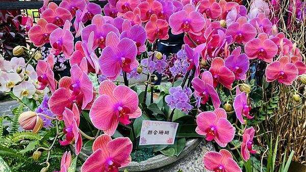 IMG_5832.jpg IMG_5832.jpg