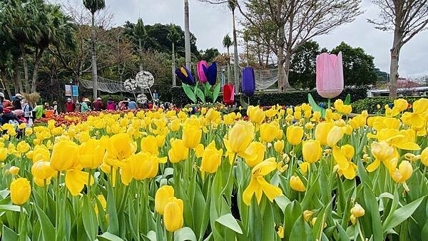 IMG_5703.jpg IMG_5703.jpg