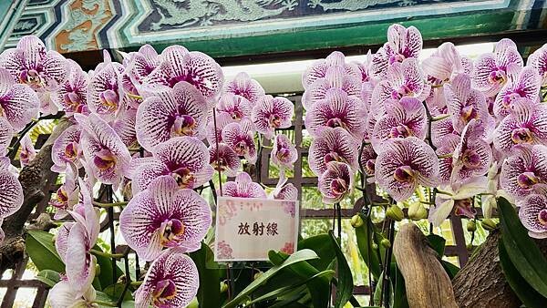 IMG_5834.jpg IMG_5834.jpg