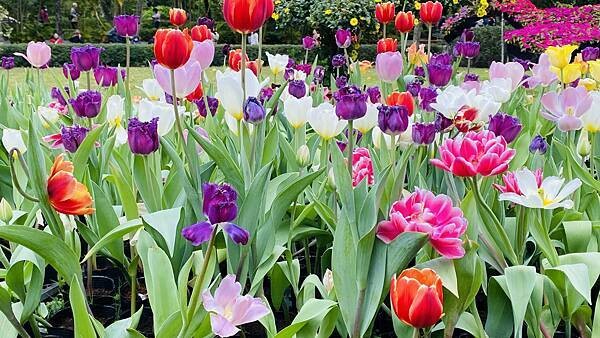 IMG_5779.jpg IMG_5779.jpg