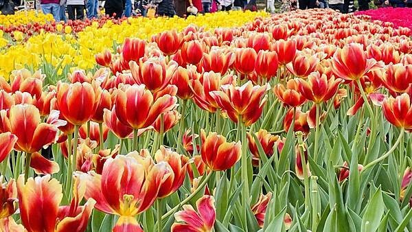 IMG_5794.jpg IMG_5794.jpg