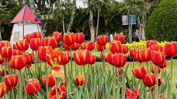 IMG_5848.jpg IMG_5848.jpg