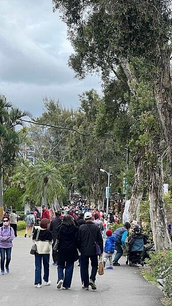 IMG_2500.JPG IMG_2500.JPG