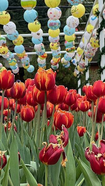 IMG_2434.JPG IMG_2434.JPG