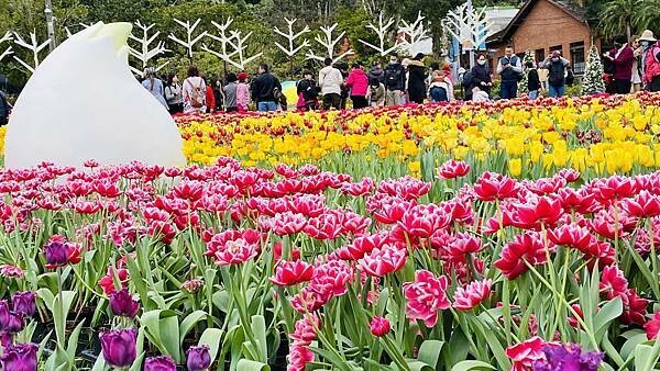 IMG_5807.jpg IMG_5807.jpg