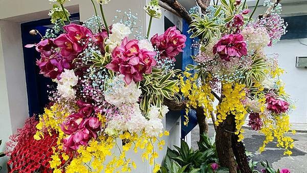 IMG_5711.jpg IMG_5711.jpg