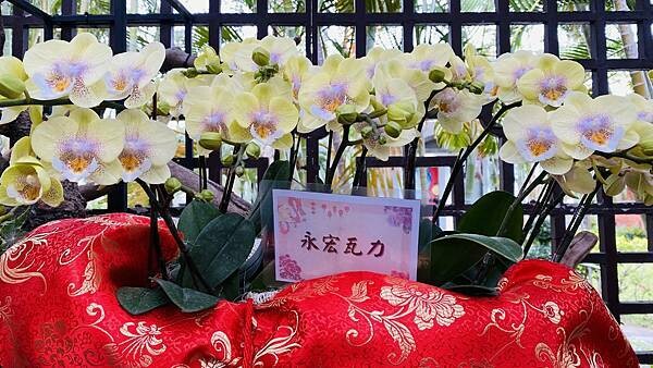 IMG_5833.jpg IMG_5833.jpg