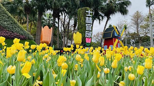 IMG_5690.jpg IMG_5690.jpg