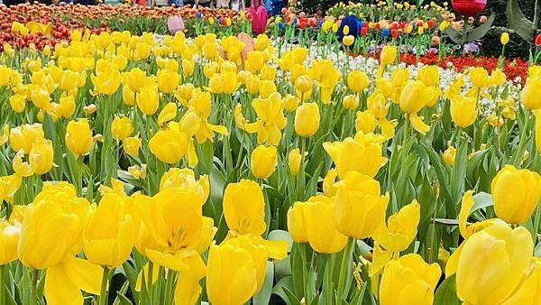 IMG_5704.jpg IMG_5704.jpg