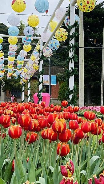 IMG_5818.jpg IMG_5818.jpg