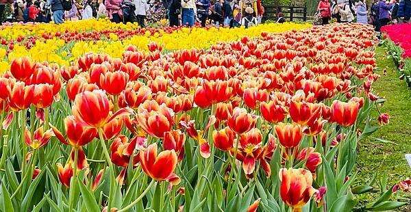 IMG_5796.jpg IMG_5796.jpg