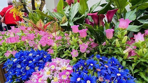 IMG_5710.jpg IMG_5710.jpg