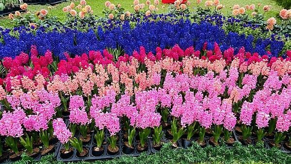 IMG_5817.jpg IMG_5817.jpg