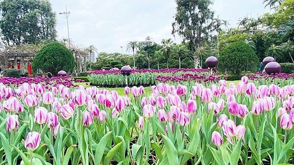 IMG_5850.jpg IMG_5850.jpg