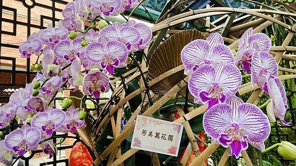 IMG_5838.jpg IMG_5838.jpg