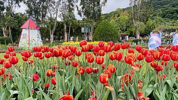 IMG_5849.jpg IMG_5849.jpg