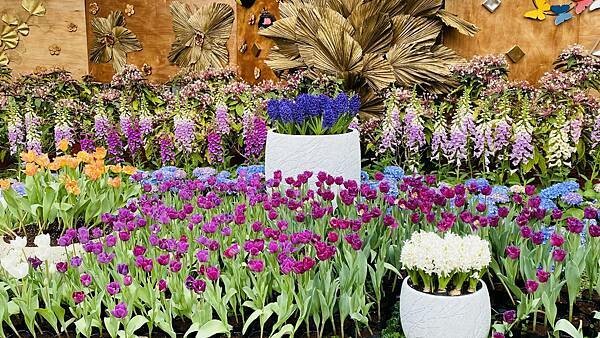 IMG_5825.jpg IMG_5825.jpg