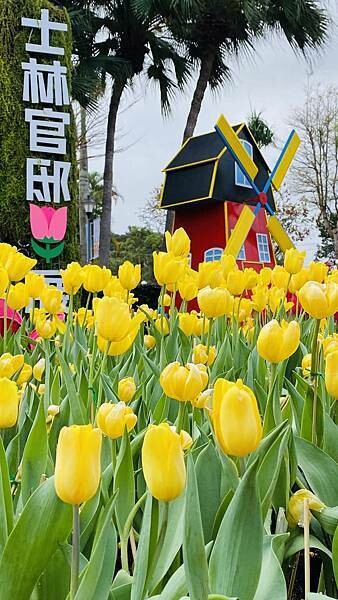 IMG_5692.jpg IMG_5692.jpg