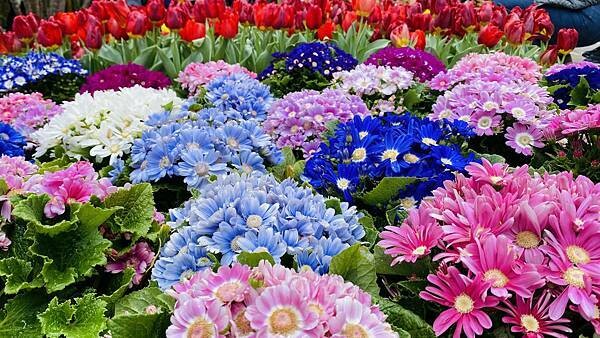 IMG_5732.jpg IMG_5732.jpg