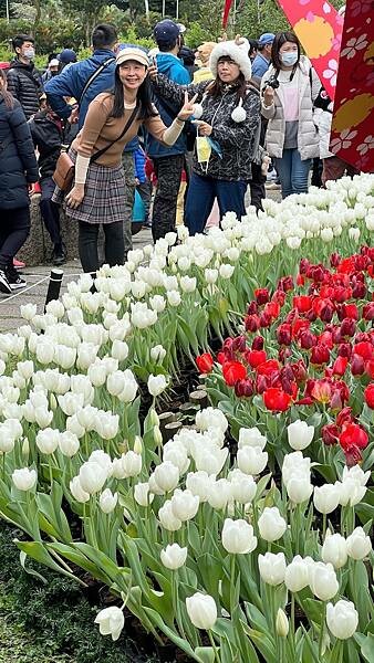 IMG_2305.JPG IMG_2305.JPG