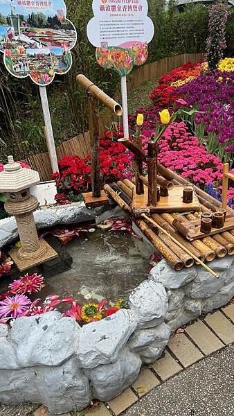 IMG_2320.JPG IMG_2320.JPG