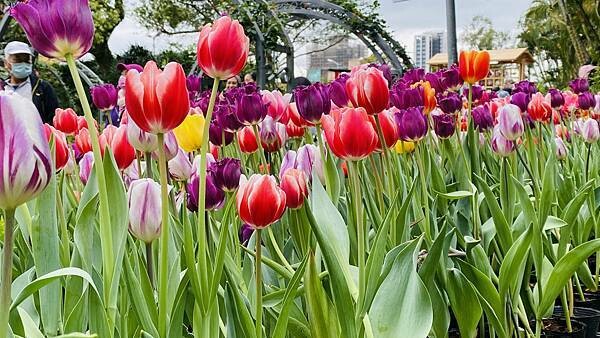 IMG_5739.jpg IMG_5739.jpg