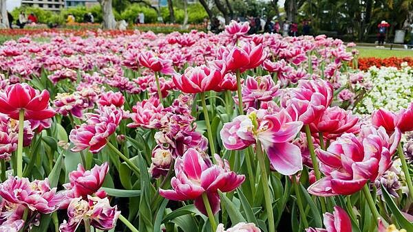 IMG_5742.jpg IMG_5742.jpg