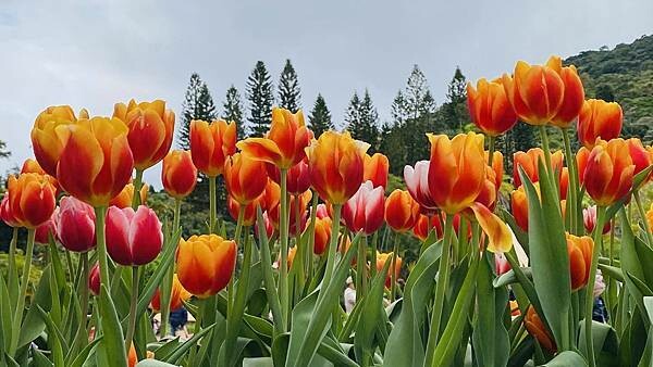 IMG_5770.jpg IMG_5770.jpg