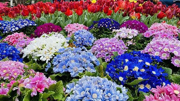 IMG_5730.jpg IMG_5730.jpg