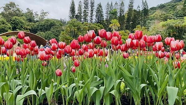 IMG_5765.jpg IMG_5765.jpg