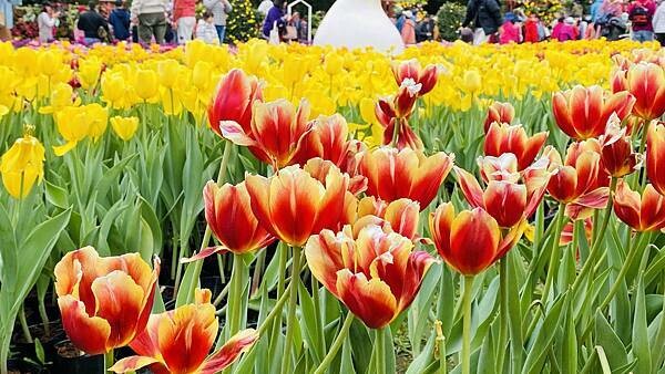 IMG_5793.jpg IMG_5793.jpg