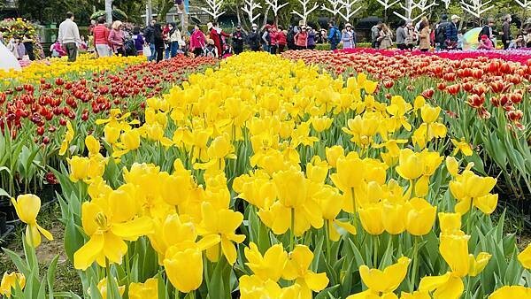 IMG_5797.jpg IMG_5797.jpg